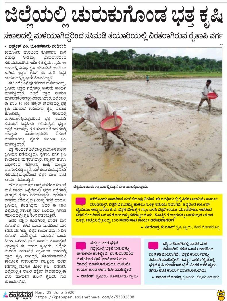 Paddy cultivation has picked up pace in the district